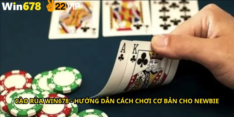 Cào Rùa Win678 - Hướng Dẫn Cách Chơi Cơ Bản cho newbie